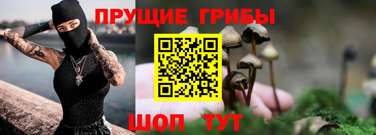 Псилоцибиновые грибы Psilocybine cubensis  Вход с VPN  Лобня 