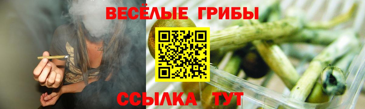 Галлюциногенные грибы Cubensis Лобня